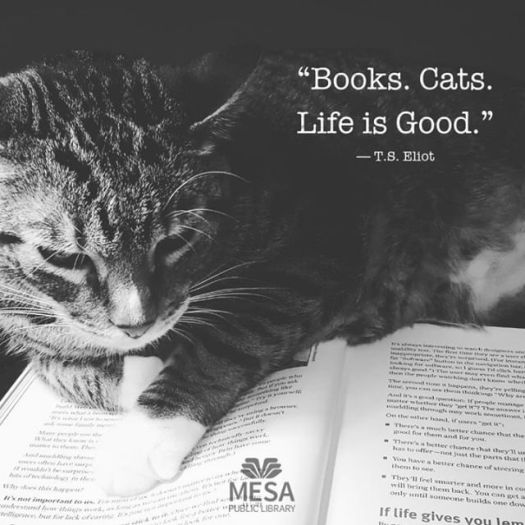 Books and Cats, blog post by Aspasia S. Bissas